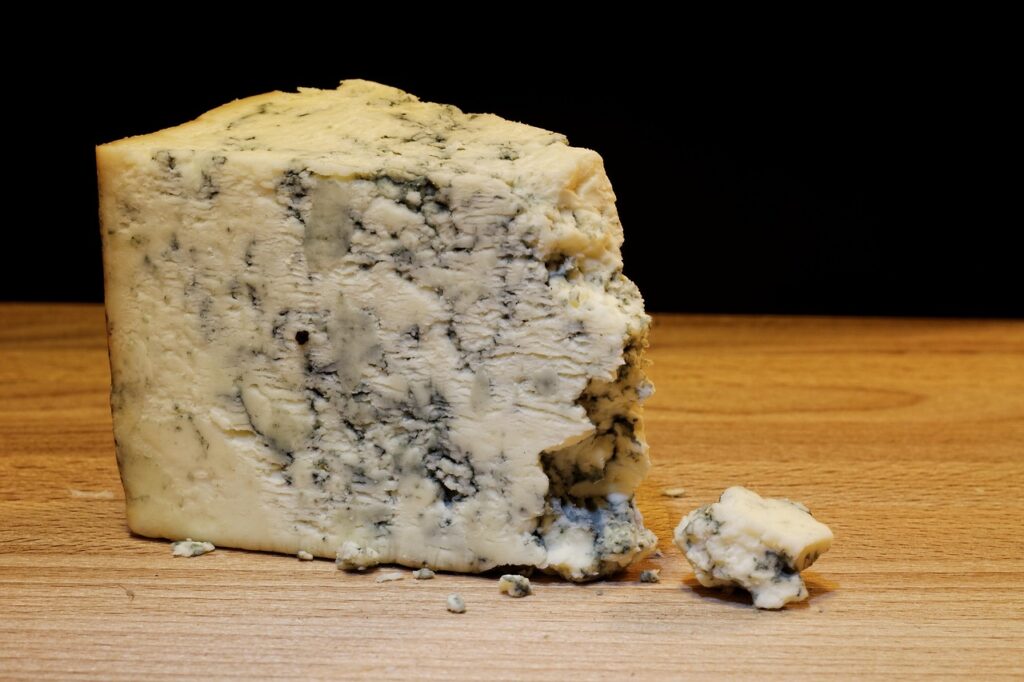 Nos produits mold cheese, food, dairy, french, gourmet, product, delicious, snack, nutrition, tasty, piece, roquefort, ingredient, table, traditional, fungus, eat, ripe, wedge, cuisine, macro, closeup, brown nutrition, roquefort, roquefort, roquefort, roquefort, roquefort