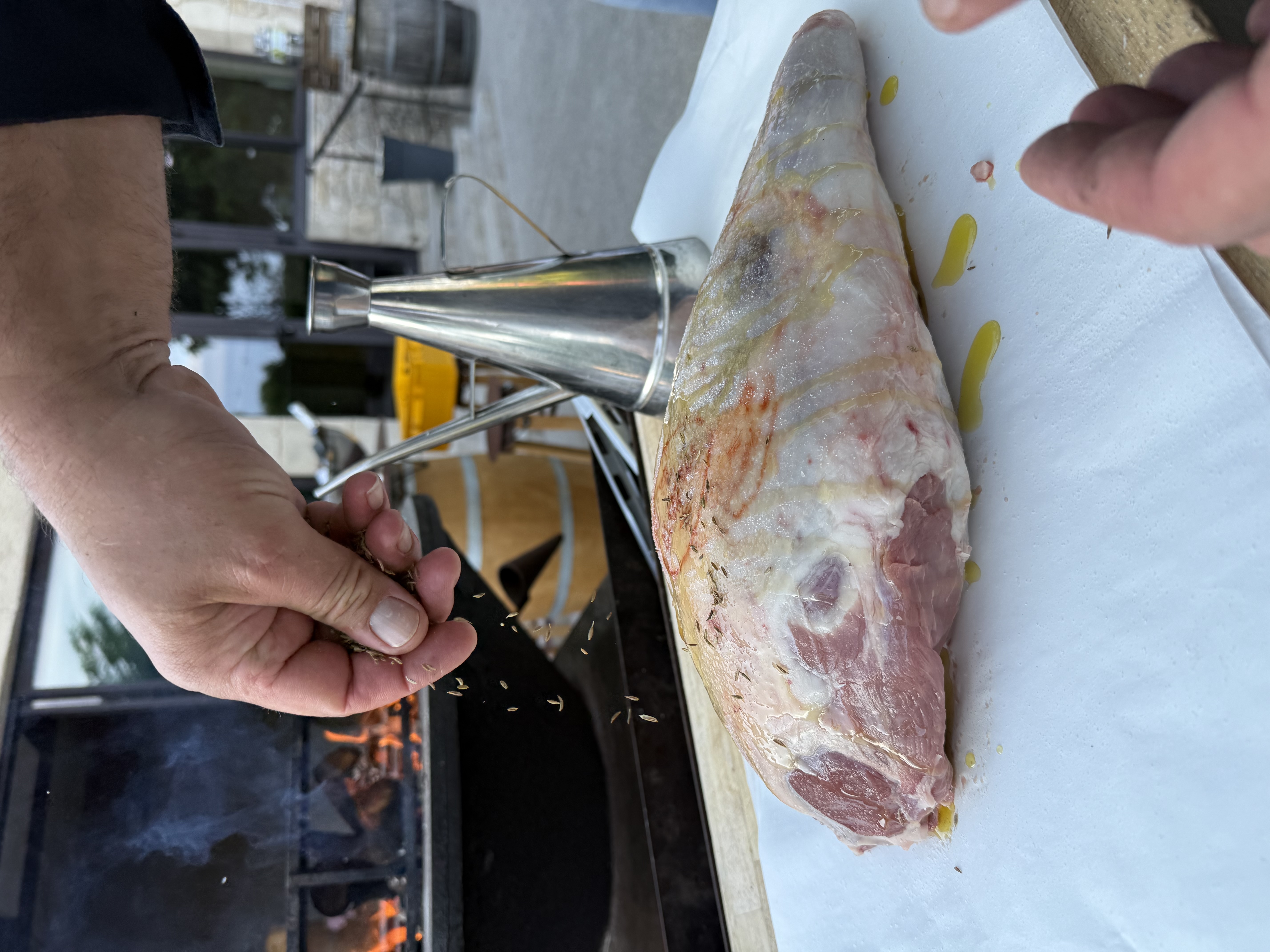 Agneau et mouton img 0508