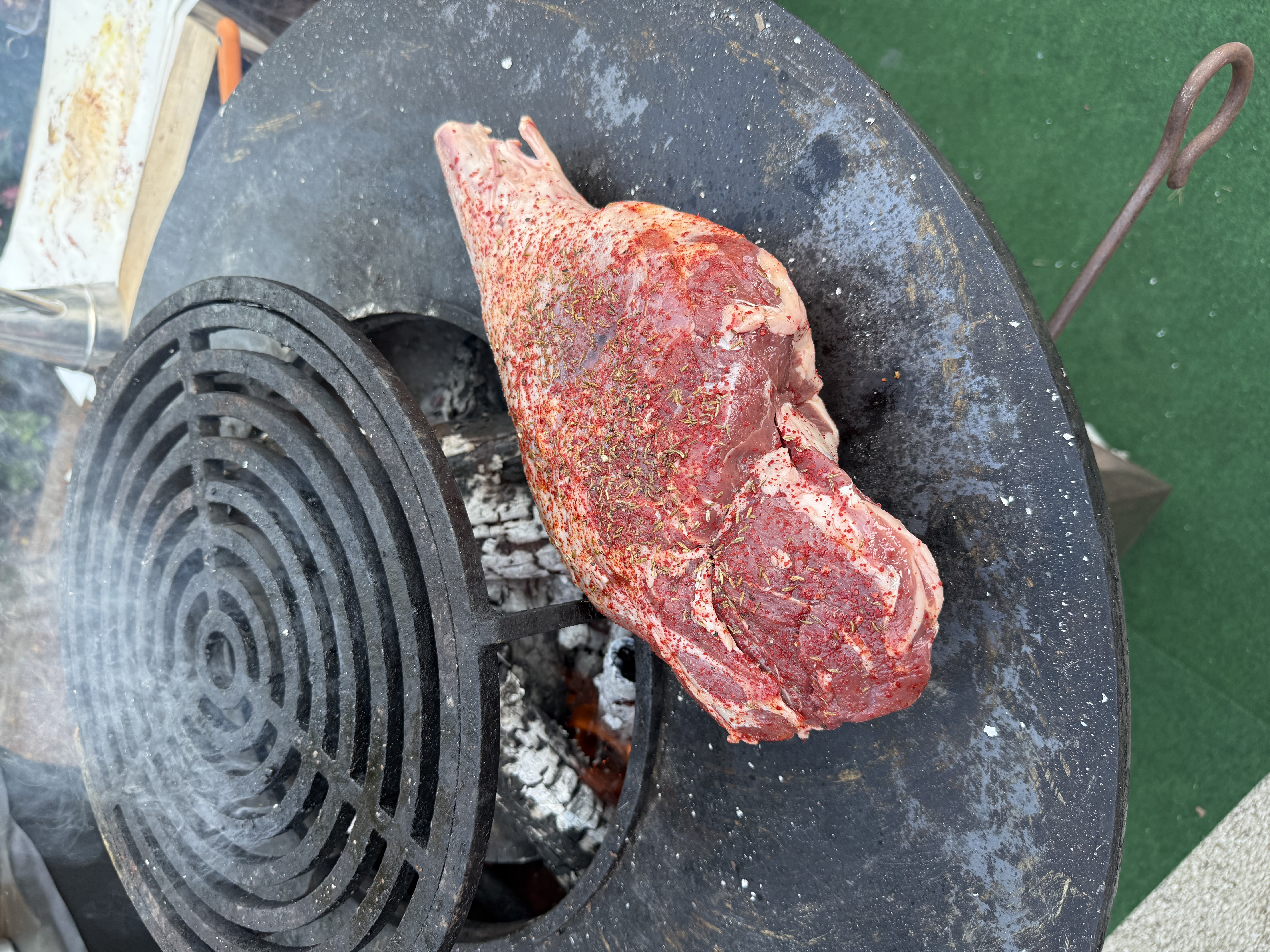 Agneau et mouton img 0522